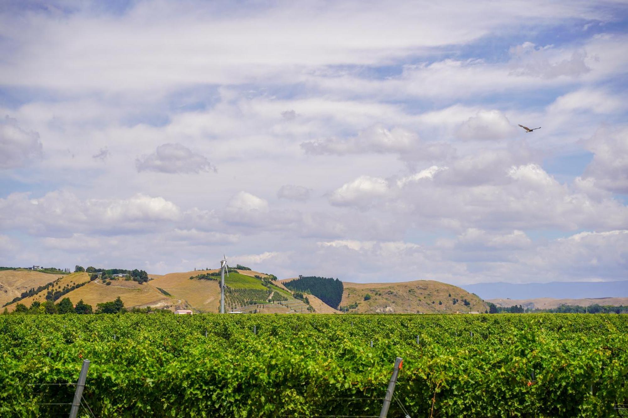 Syrah Suite Unison Vineyard Fernhill ภายนอก รูปภาพ